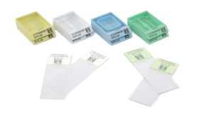 **2021** - M-Pix excels in digital histopathology